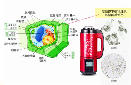 加熱破壁料理機(jī)的破壁原理